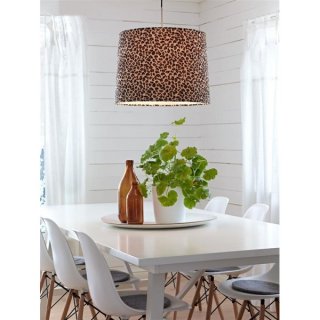 Aktuálne - Leopard v kuchyni? Prečo nie.